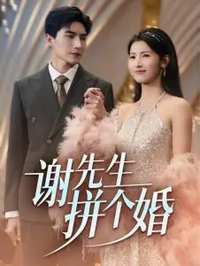 《谢先生拼个婚》：搞笑都市爱情，揭秘“拼婚”背后的故事