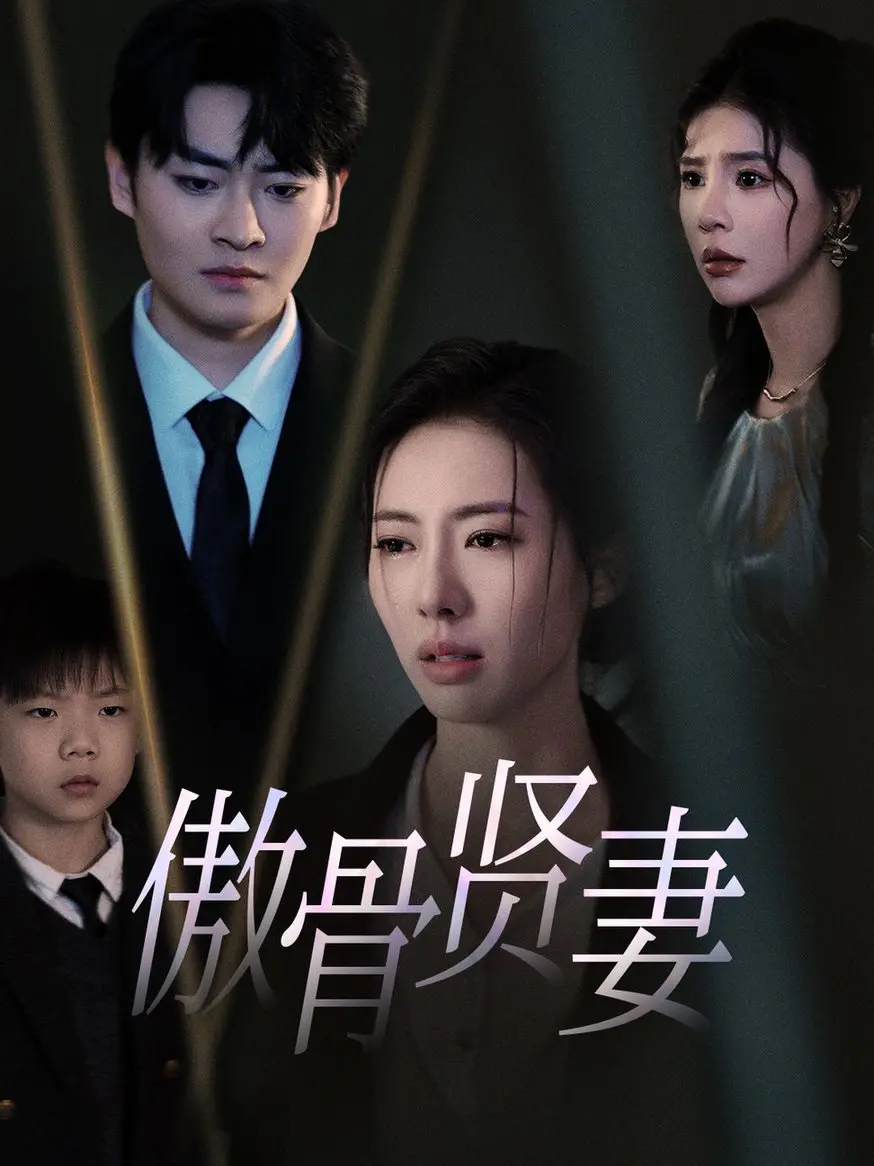 《傲骨贤妻》：权谋与救赎，律政风云中的女性力量