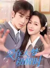 《爱在大梦初醒时》：一场跨越时空的浪漫救赎之旅