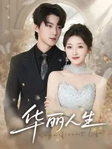 《华丽人生》：爱与欲的纠葛，命运交织下的华丽悲歌